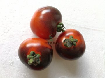黑钻石番茄