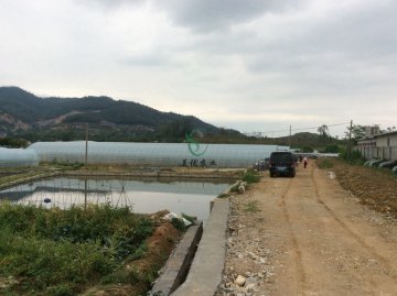 五显基地